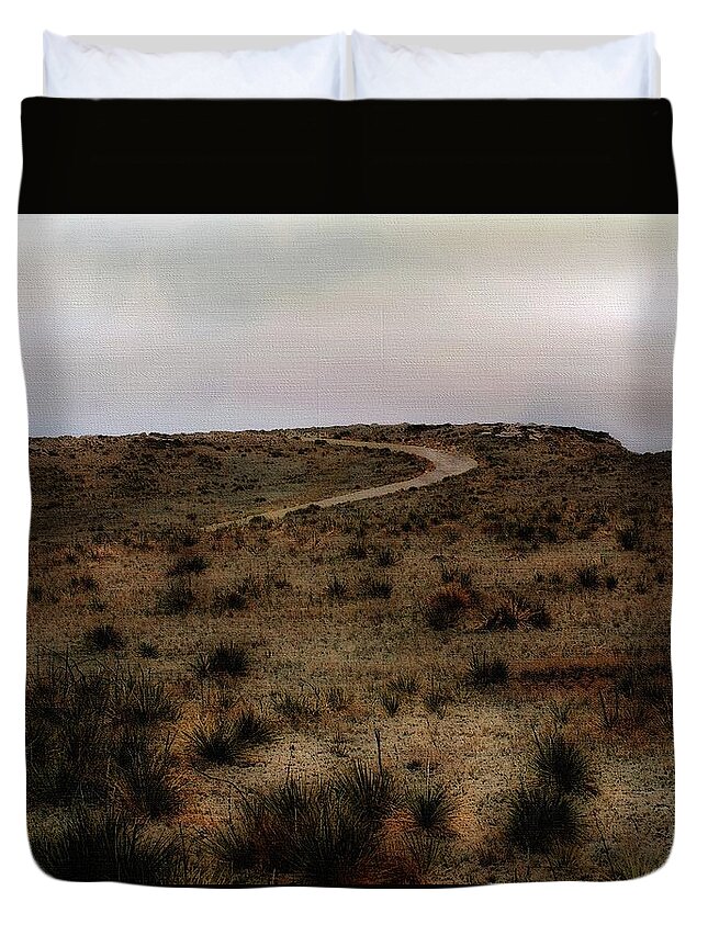 Colorado Duvet Cover featuring the painting Twilight Grasslands by RC DeWinter