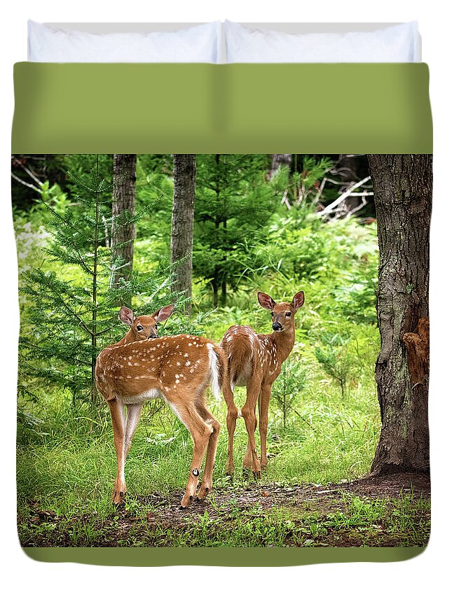 Twin Fawn Print Duvet Cover featuring the photograph Twin Fawns Whitetail Deer Print by Gwen Gibson