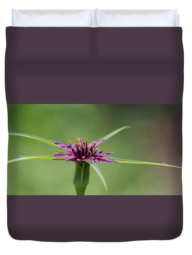 Purple Duvet Cover featuring the photograph Twinkle Twinkle by Richard Patmore