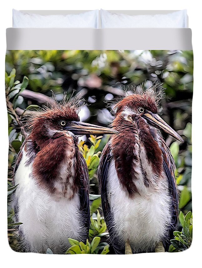 Birds Duvet Cover featuring the mixed media Twins by DB Hayes