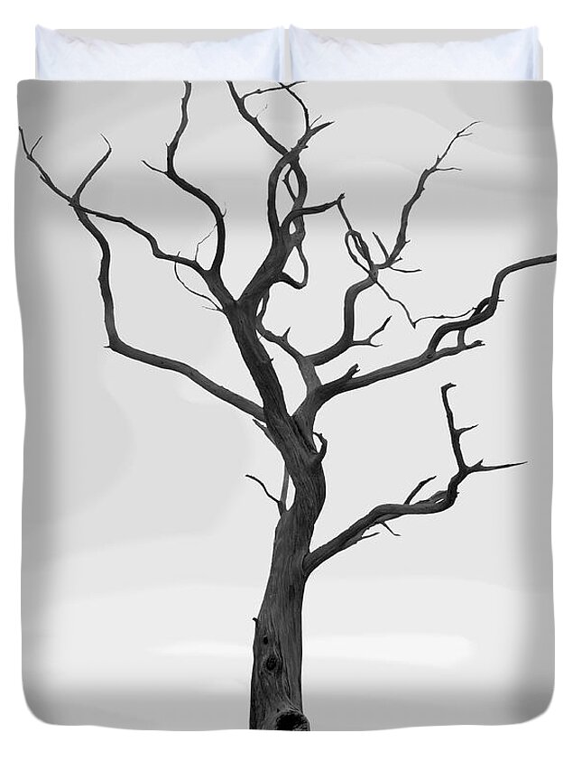 Fine Art Duvet Cover featuring the photograph Twisted 2 by Mike McGlothlen