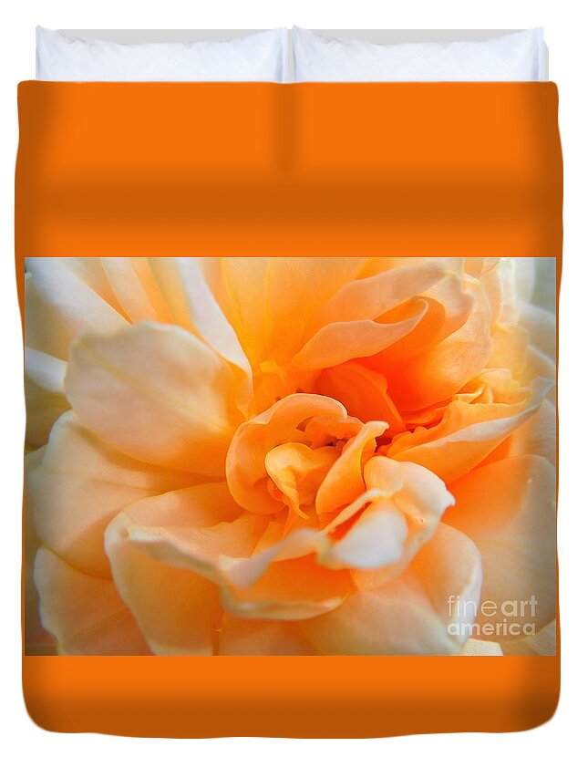 Rose Duvet Cover featuring the photograph Twisted Dreamsicle by Chad and Stacey Hall
