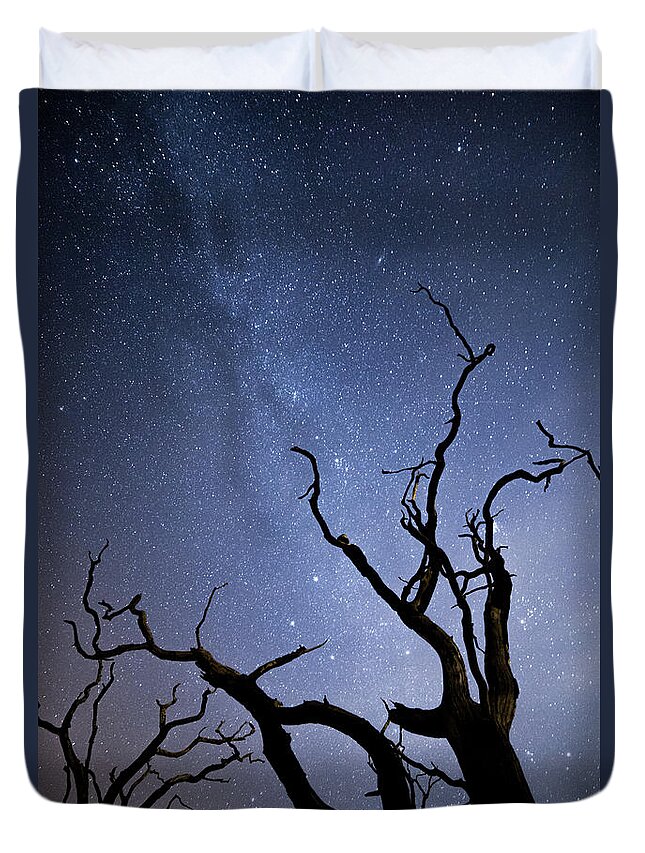 Milky Way Duvet Cover featuring the photograph Twisted Spooky Trees and the Milky Way Stars by Anita Nicholson