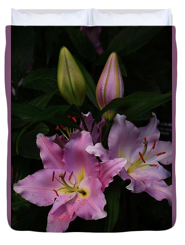 Flowers Duvet Cover featuring the photograph Two and Two by Cindy Manero