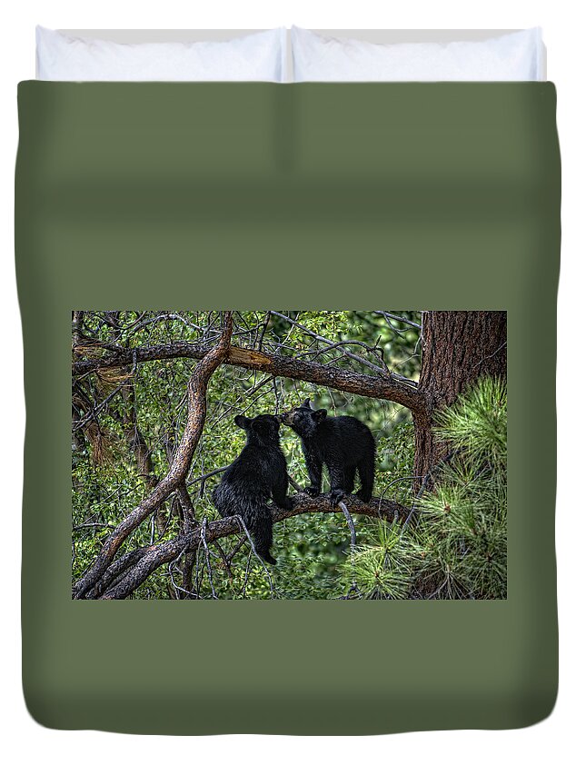 Canada Duvet Cover featuring the photograph Two Bear Cubs Kissing up a Tree by Paul W Sharpe Aka Wizard of Wonders