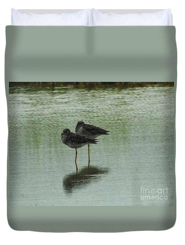 Birds Duvet Cover featuring the photograph Two Birds In The Marsh by Jan Gelders