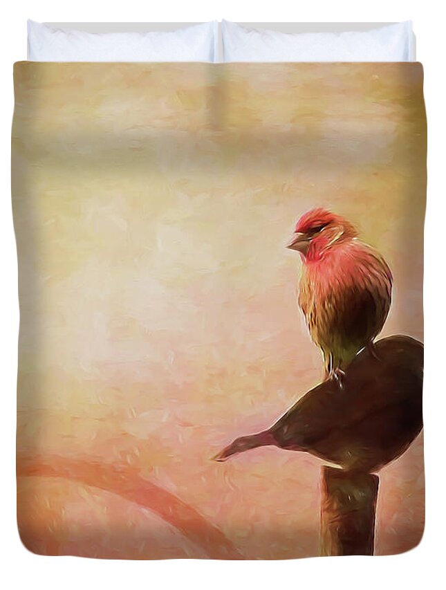 Two Birds In The Mist Duvet Cover featuring the photograph Two Birds In The Mist by Bellesouth Studio