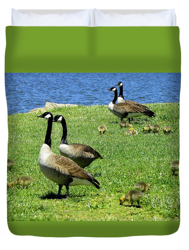 Geese Duvet Cover featuring the photograph Two By Two by Sandi OReilly