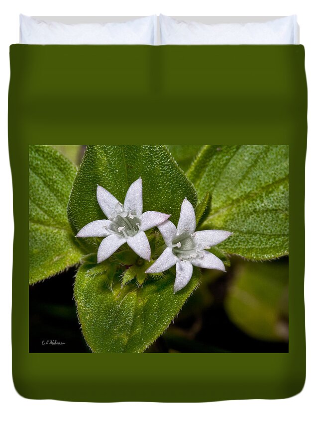 Flower Duvet Cover featuring the photograph Two Crowns by Christopher Holmes
