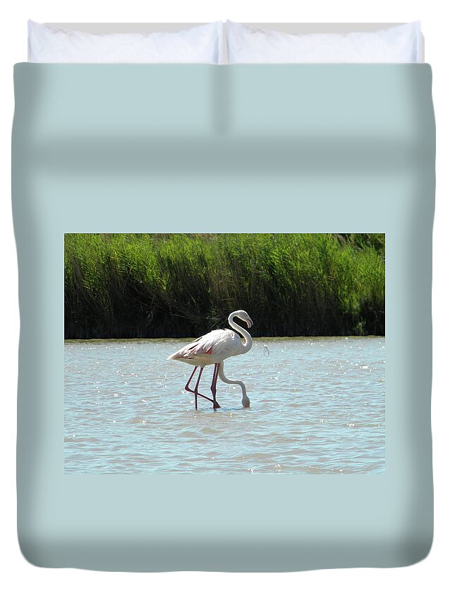 Flamingo Duvet Cover featuring the photograph Two headed by Manuela Constantin