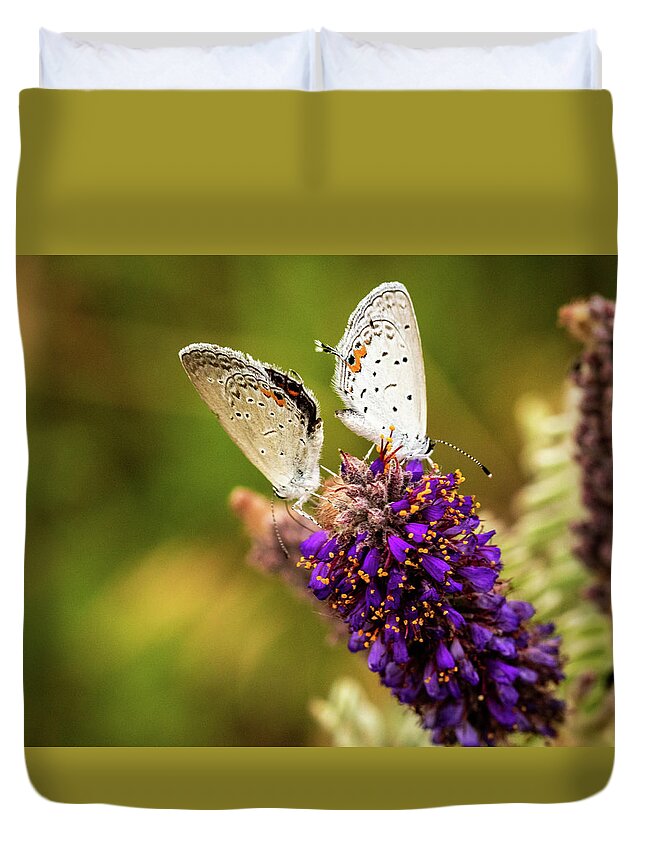 Jay Stockhaus Duvet Cover featuring the photograph Two on a Flower by Jay Stockhaus