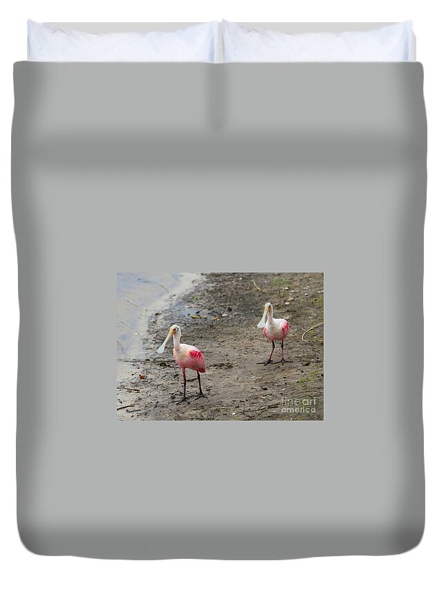 Two Birds Duvet Cover featuring the photograph Two Roseate Spoonbills 2 by Carol Groenen