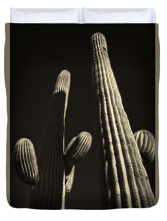 Arizona Duvet Cover featuring the photograph Two Tall Saguaros by Roger Passman