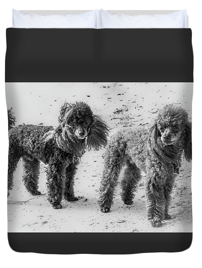 Bird Key Park Duvet Cover featuring the photograph Two Toys B/W by Richard Goldman