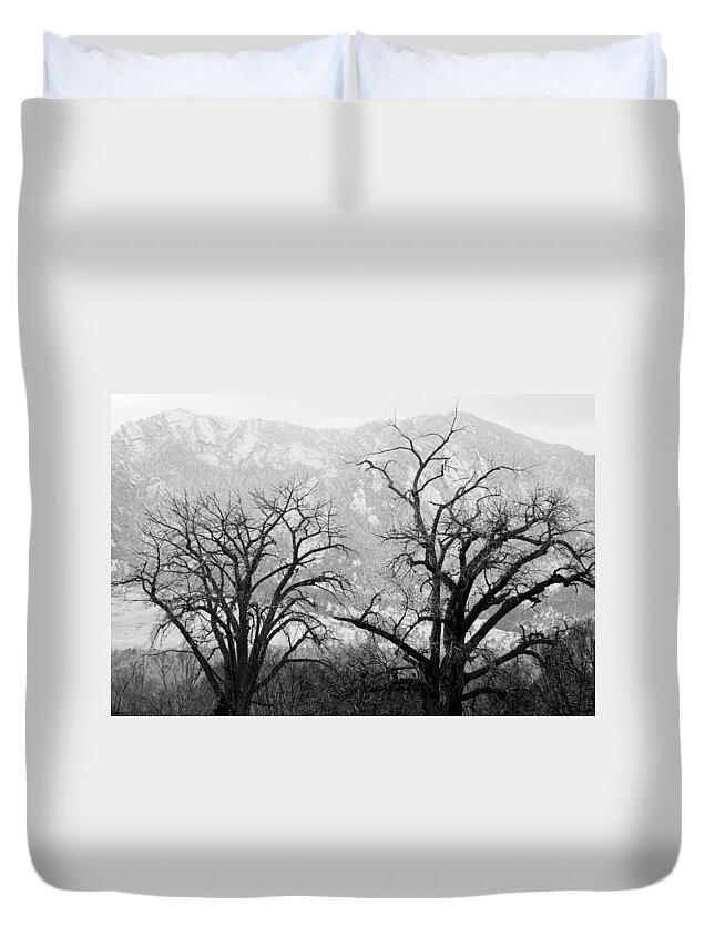 B&w Duvet Cover featuring the photograph Two Trees Flatirons Boulder Colorado by James BO Insogna