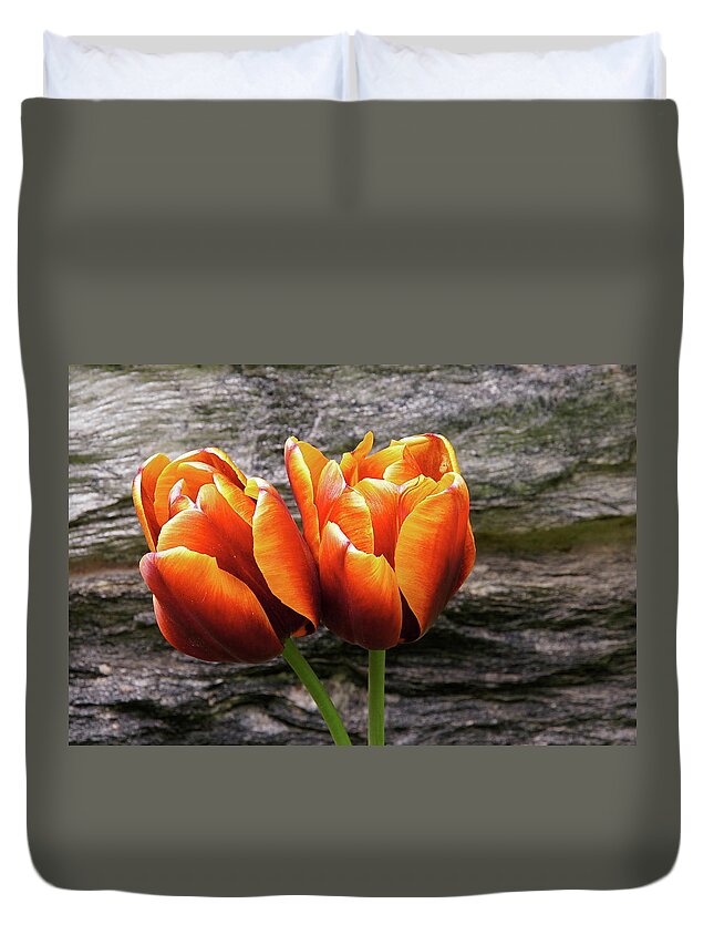 Floral Duvet Cover featuring the photograph Two Tulips And Stone by Byron Varvarigos