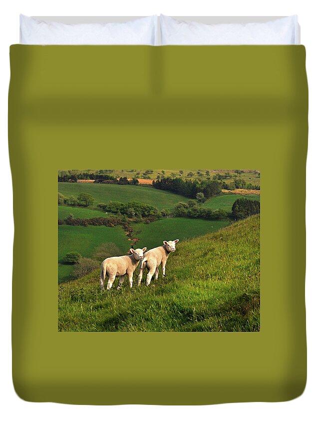 Wales Duvet Cover featuring the digital art Two Welsh Lambs by Vicki Lea Eggen