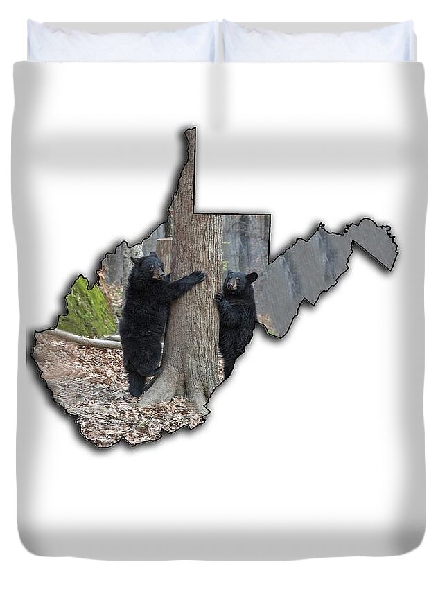 Black; Black Bear; Bear; Fall; Leaves; Climbing; Tree Duvet Cover featuring the photograph Two young black bear standing by tree by Dan Friend