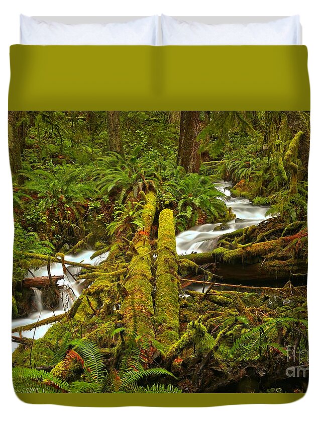 Tranquility Duvet Cover featuring the photograph Under The Logs And Through The Woods by Adam Jewell