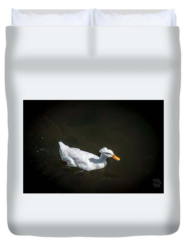 Crested Domestic Duck Duvet Cover featuring the photograph U Qwak Me Up by Daniel Hebard