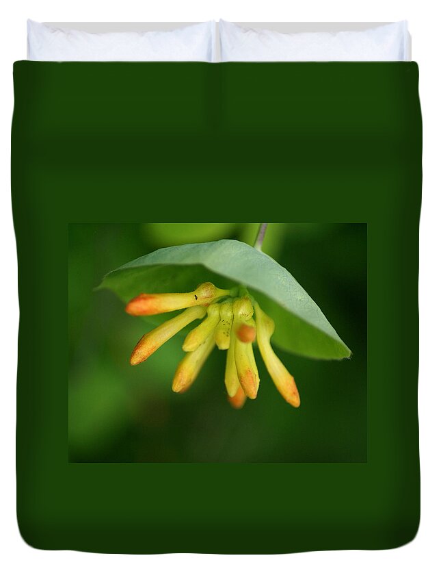 Nature Duvet Cover featuring the photograph Umbrella Plant by Ben Upham III