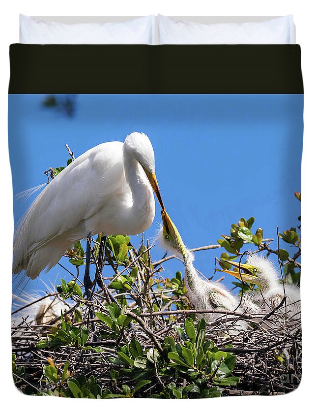 Egrets Duvet Cover featuring the photograph Unconditional Love by DB Hayes