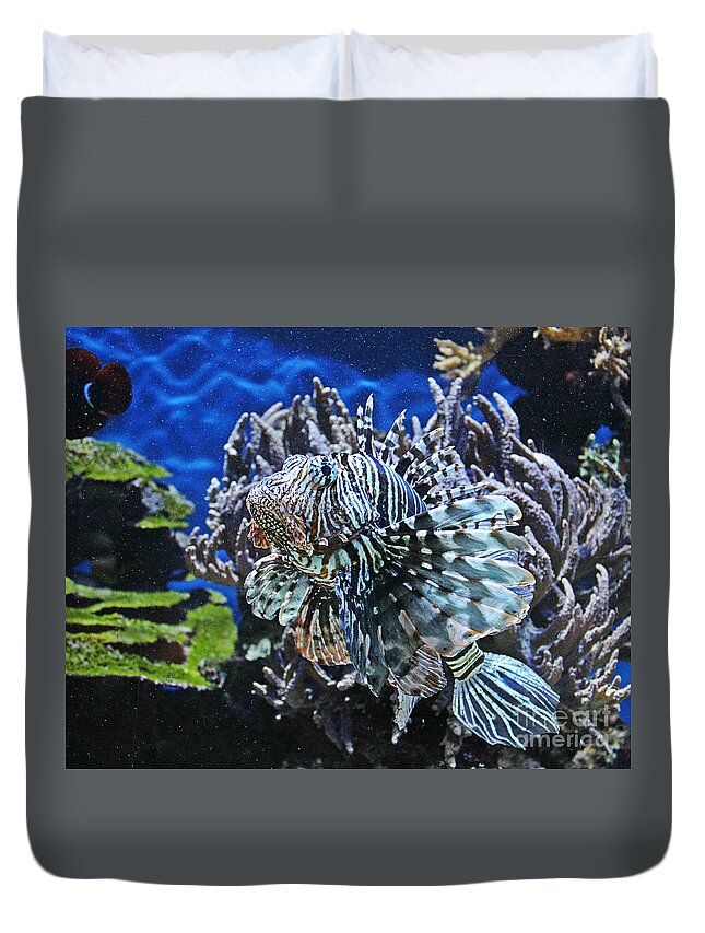 Fish Duvet Cover featuring the photograph Under cover by Binka Kirova