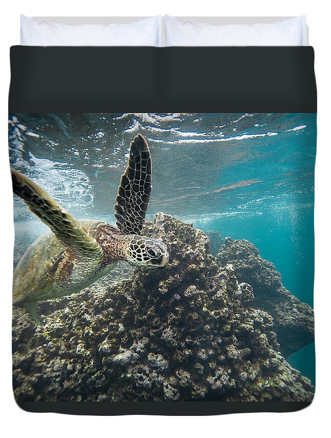 Sea Life Duvet Cover featuring the photograph Under Flyer by Leonardo Dale