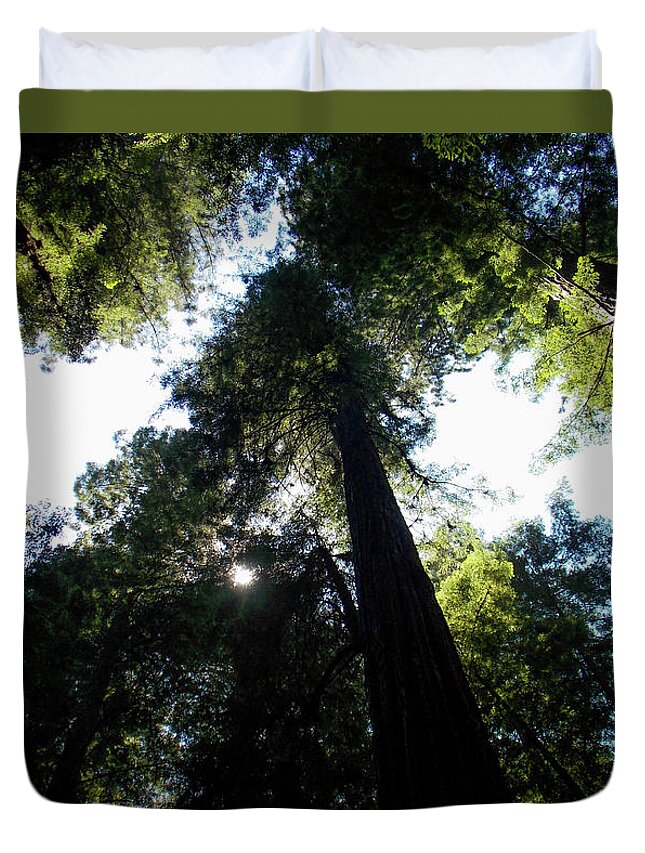 K. Bradley Washburn Duvet Cover featuring the photograph Under the Redwoods by K Bradley Washburn