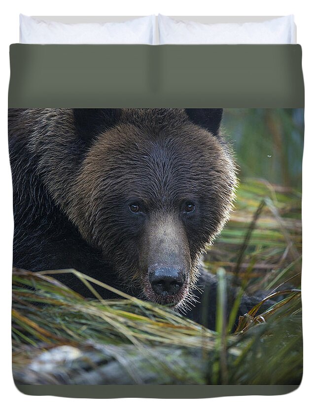 Grizzly Duvet Cover featuring the photograph Up Close and Personal with a Grizzly by Bill Cubitt