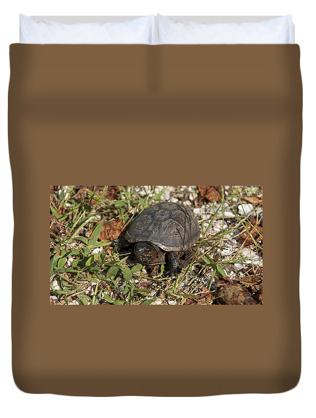 Turtle Duvet Cover featuring the photograph Up Close With Slow by Charles Kraus