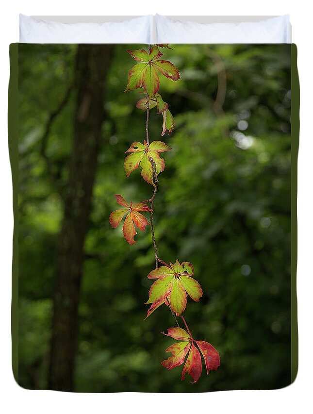 Fall Duvet Cover featuring the photograph Upcoming Season by Mike Eingle