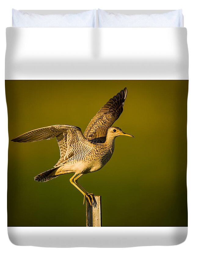 Wildlife Duvet Cover featuring the photograph Upland Sandpiper on Steel Post by Jeff Phillippi