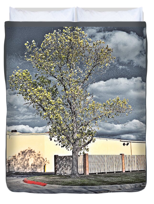 Urban Duvet Cover featuring the photograph Urban Cottonwood by Gary Richards