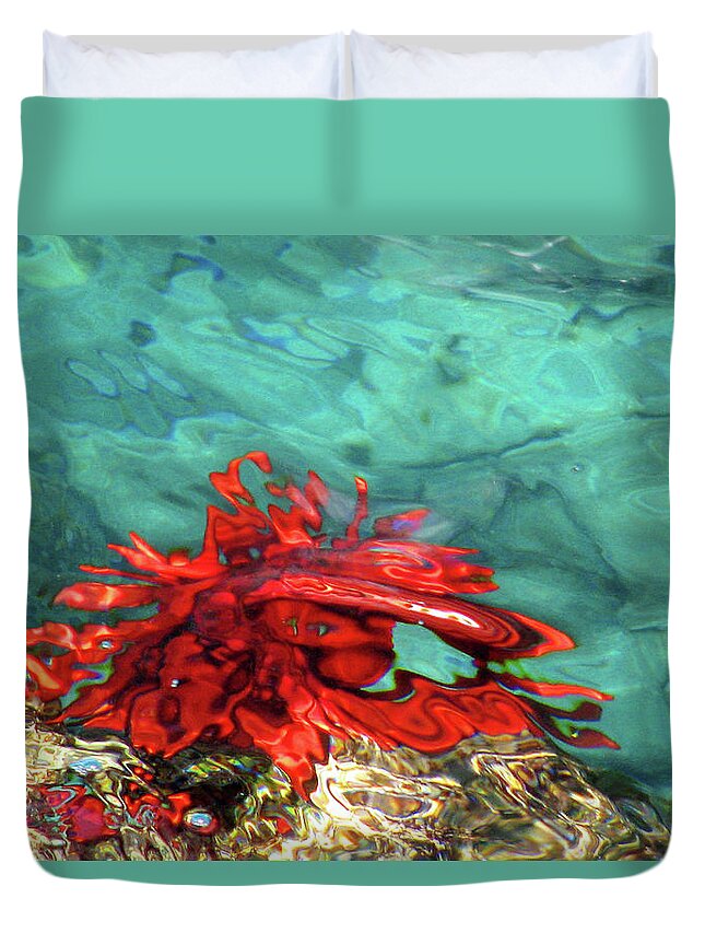 Urchin Duvet Cover featuring the photograph Urchin Abstract by Ted Keller