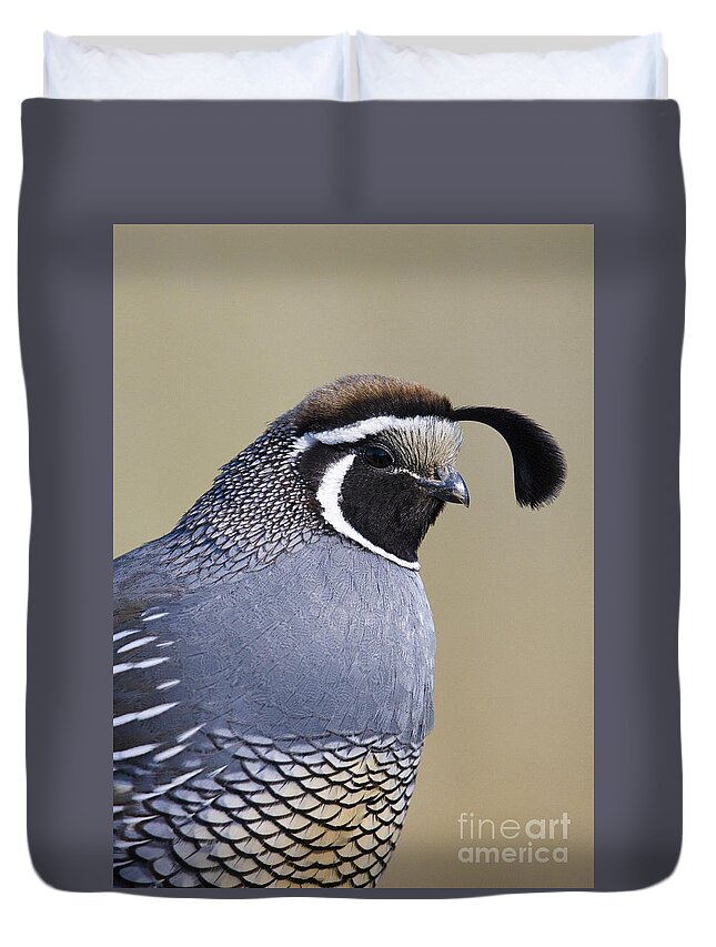 Quail Duvet Cover featuring the photograph Valley by Douglas Kikendall