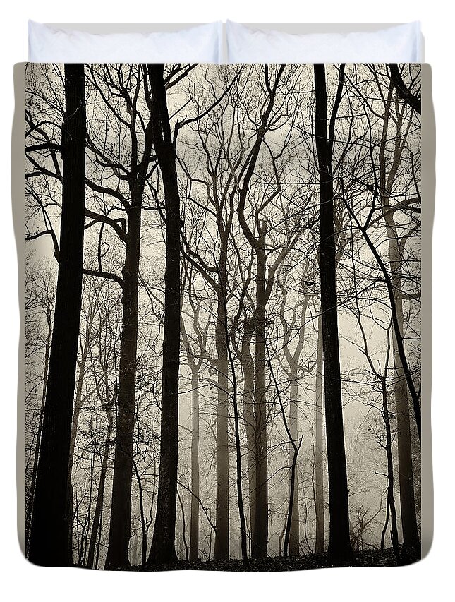 Forest Duvet Cover featuring the photograph Valley Forge Forest Fog #2 by Bethany Dhunjisha