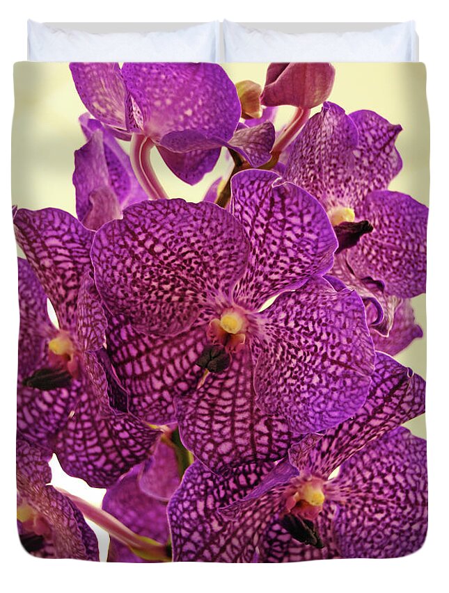 Orchid Duvet Cover featuring the photograph Vanda Orchid Elegance by Debbie Oppermann