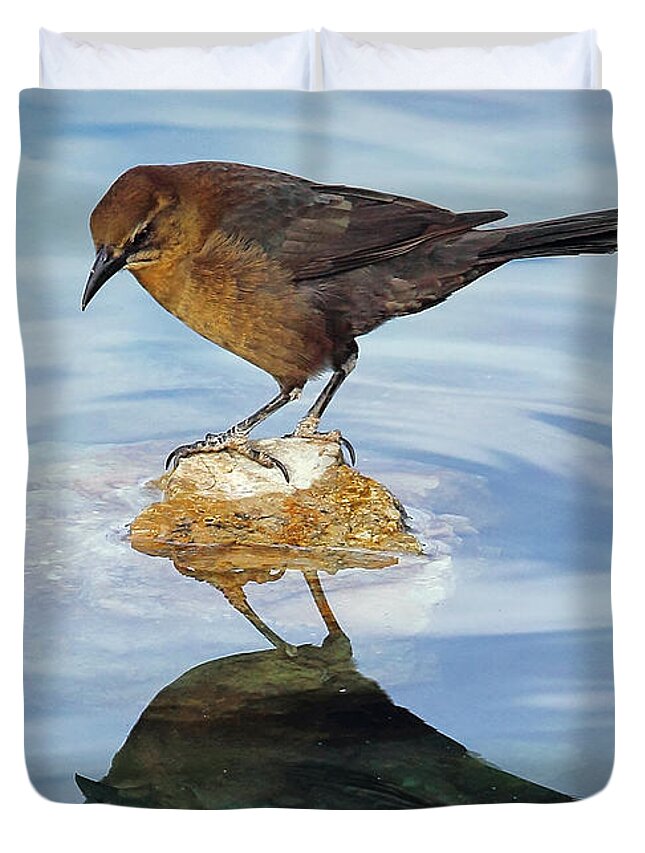 Grackles Duvet Cover featuring the photograph Vanity by Elaine Malott