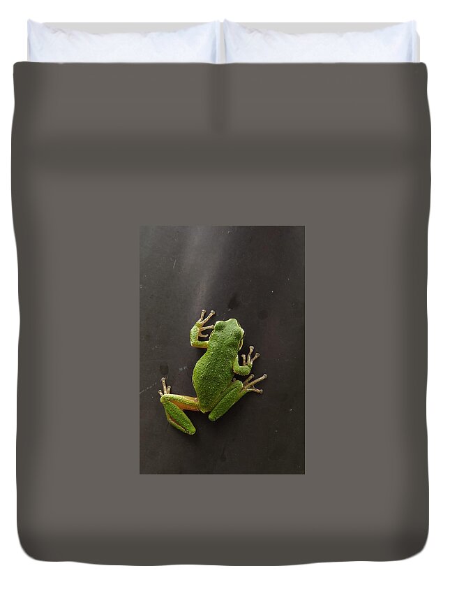 Pacific Chorus Frog Duvet Cover featuring the photograph Velcro Feet by I'ina Van Lawick