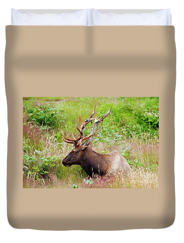 Bull Duvet Cover featuring the photograph Velvet Tatters by Michael Dawson
