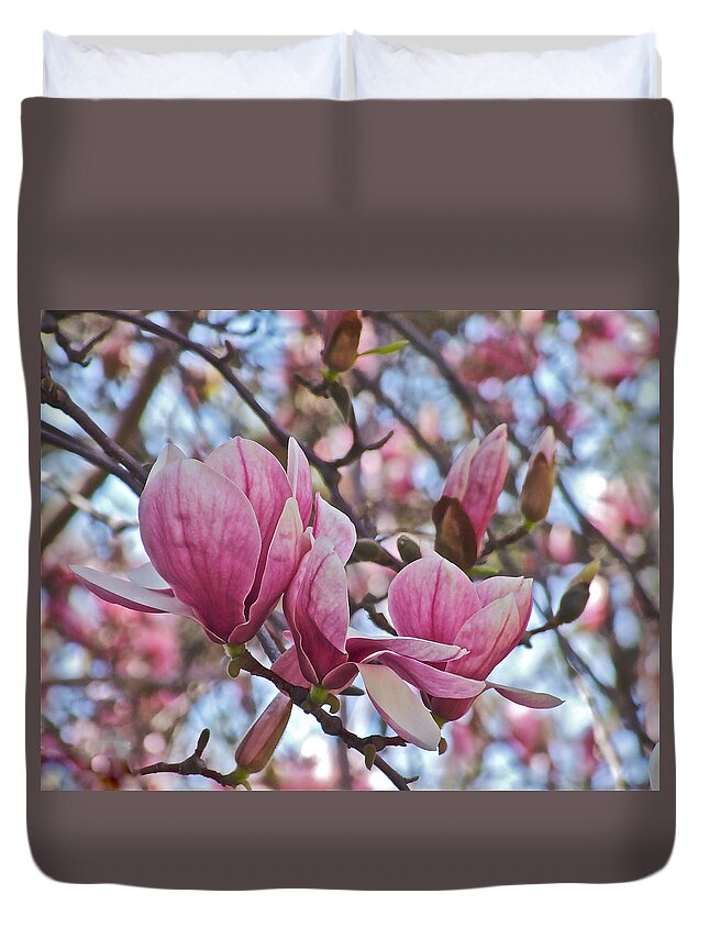 Magnolias Duvet Cover featuring the photograph Vernon Magnolias with Buds by Janis Senungetuk