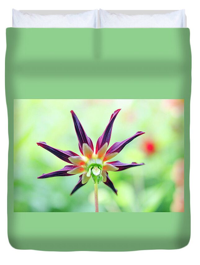 Veronnes Duvet Cover featuring the photograph Veronnes Obsidian Backside by Kathy Paynter