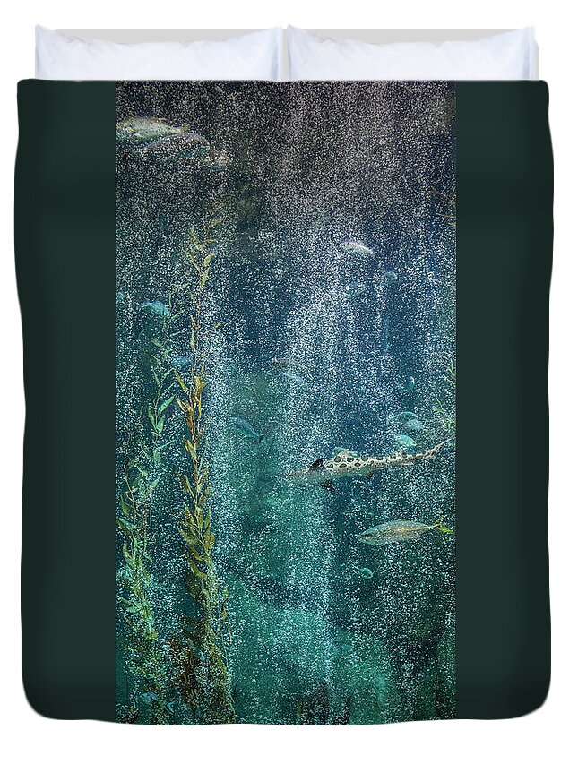 The Aquarium Of The Pacific Duvet Cover featuring the photograph Vertical Fish with Bubbles by David Zanzinger