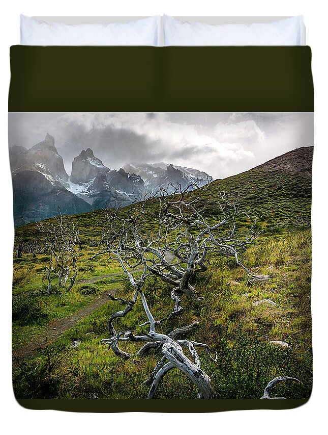 Nature Duvet Cover featuring the photograph Vibrant Desolation by Andrew Matwijec