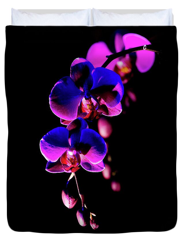 Decorative Duvet Cover featuring the photograph Vibrant Orchids by Ann Bridges