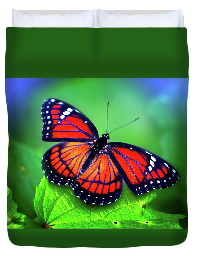 Monarch Butterfly Duvet Cover featuring the photograph Viceroy Perch by Mark Andrew Thomas