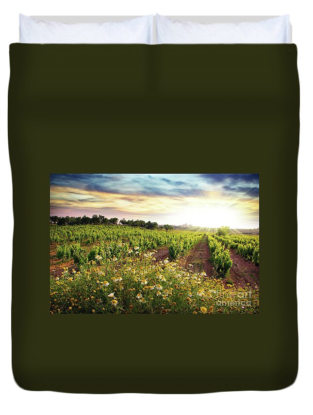 Agriculture Duvet Cover featuring the photograph Vineyard by Carlos Caetano