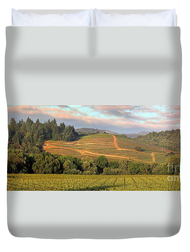 Dry Creek Valley Duvet Cover featuring the photograph Vineyard in Dry Creek Valley, Sonoma County, California by Wernher Krutein