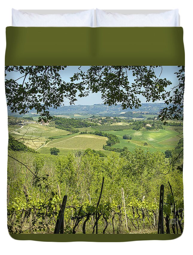 Vineyard Duvet Cover featuring the photograph Vineyards in Tuscany landscape by Patricia Hofmeester